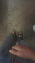 wolfi80 webcam cam4 model stream image