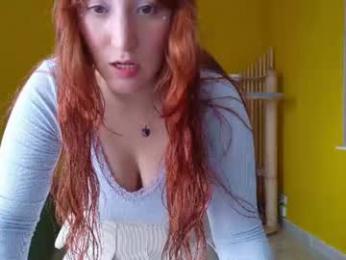 vanlet webcam model stream image