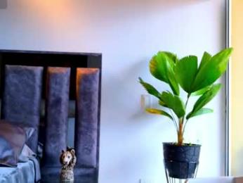 santin_seans webcam model stream image