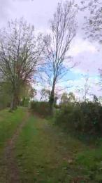 Monhommeetmoi webcam model stream image