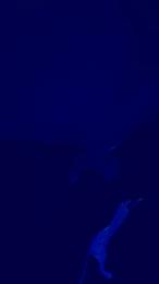 pollon293 webcam model stream image