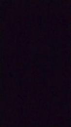 italian_bull1 webcam model stream image