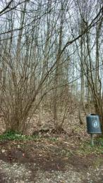 crazythot webcam cam4 model stream image