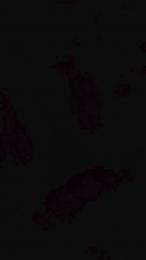 pucipuci webcam model stream image