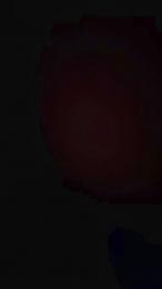 Giorgiarossihot webcam model stream image
