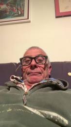 4n4l1zz4m1 webcam model stream image