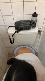 latingangsex webcam model stream image