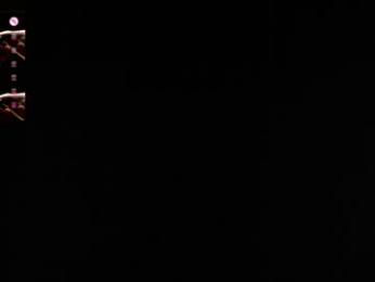 tarrant_ webcam model stream image