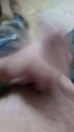 osopajas2 webcam model stream image