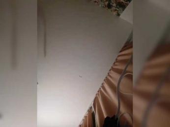 PolinaLike12 webcam model stream image