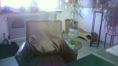 lefty99 webcam model stream image