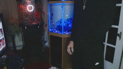 Latinlover513 webcam model stream image