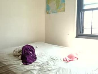 lachickadelbronx webcam model stream image