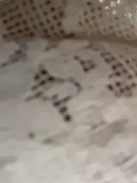 daaqnn webcam stripchat model stream image