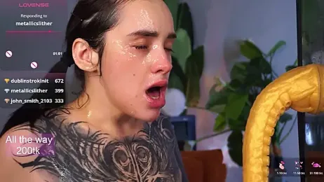 EvaCanton webcam stripchat model stream image