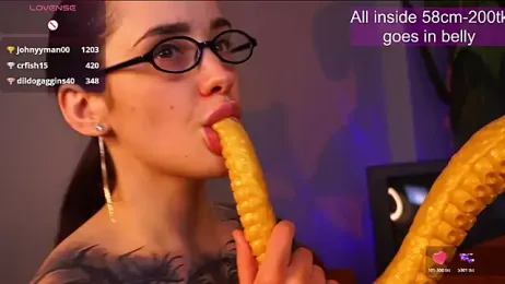 EvaCanton webcam model stream image