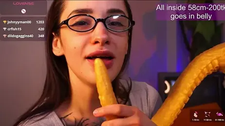 EvaCanton webcam model stream image