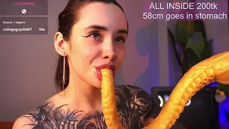 EvaCanton webcam model stream image