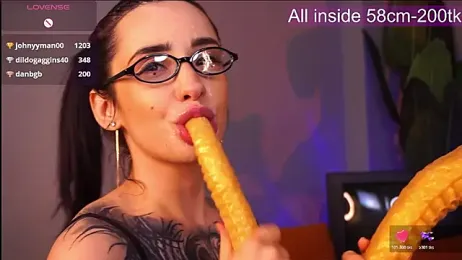 EvaCanton webcam model stream image