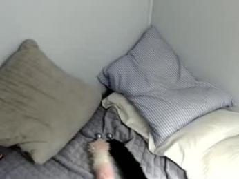 the_dough_nut webcam model stream image