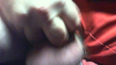 nounours112 webcam model stream image