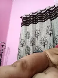 Gullapi webcam model stream image