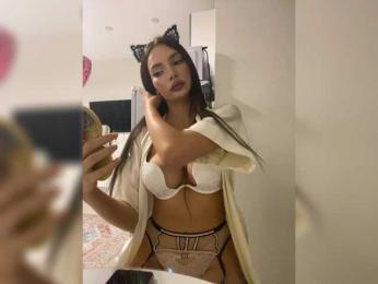 LineControl webcam model stream image