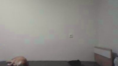 Vista previa de Jby079