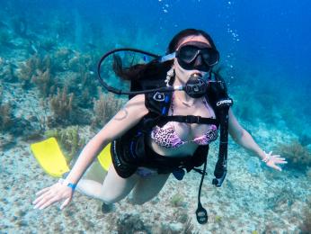 AliceSampaoli webcam livejasmin model stream image