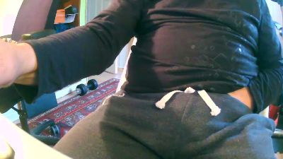 Narvestad webcam model stream image