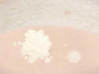 Taanni webcam model stream image