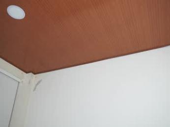 maximohoot webcam model stream image