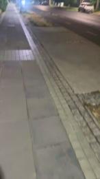 Zayx webcam model stream image