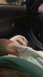 Zayx webcam model stream image