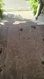 xyz_2giT webcam stripchat model stream image