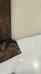 xyz_2giT webcam model stream image