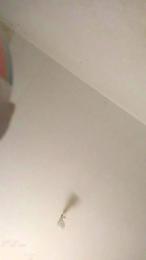 PETITECOCHO webcam model stream image