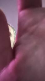 calimero197999 webcam model stream image