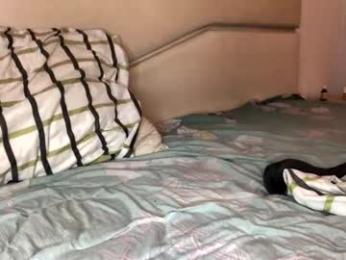 troncq webcam model stream image