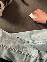 Cookieboy88 webcam model stream image