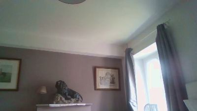 Zelda251 webcam model stream image