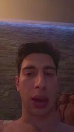 Vitruvio30 webcam model stream image