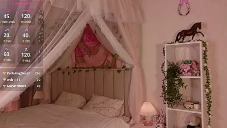 LeraKit webcam model stream image