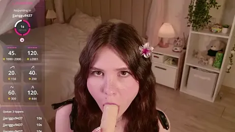 LeraKit webcam model stream image