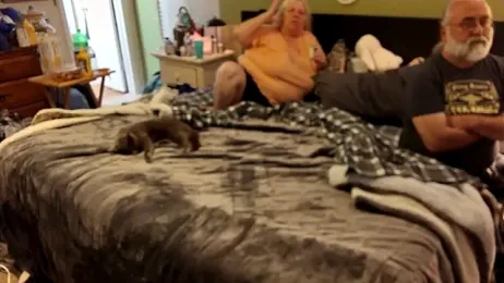 BigDaddyandSweetMama webcam stripchat model stream image