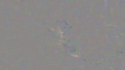 spain_worker webcam model stream image