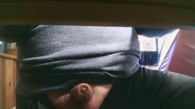 legov4 webcam model stream image