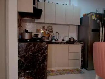 anielli69 webcam model stream image