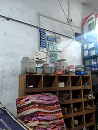 Srmotrs webcam model stream image