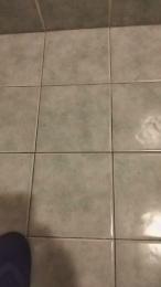 Duck20741 webcam model stream image